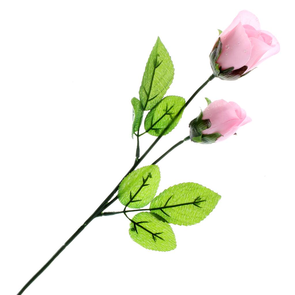 10262987.jpg img